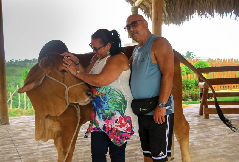 Tuko Ranch-Zipline-Booguies-Horse Back Ride