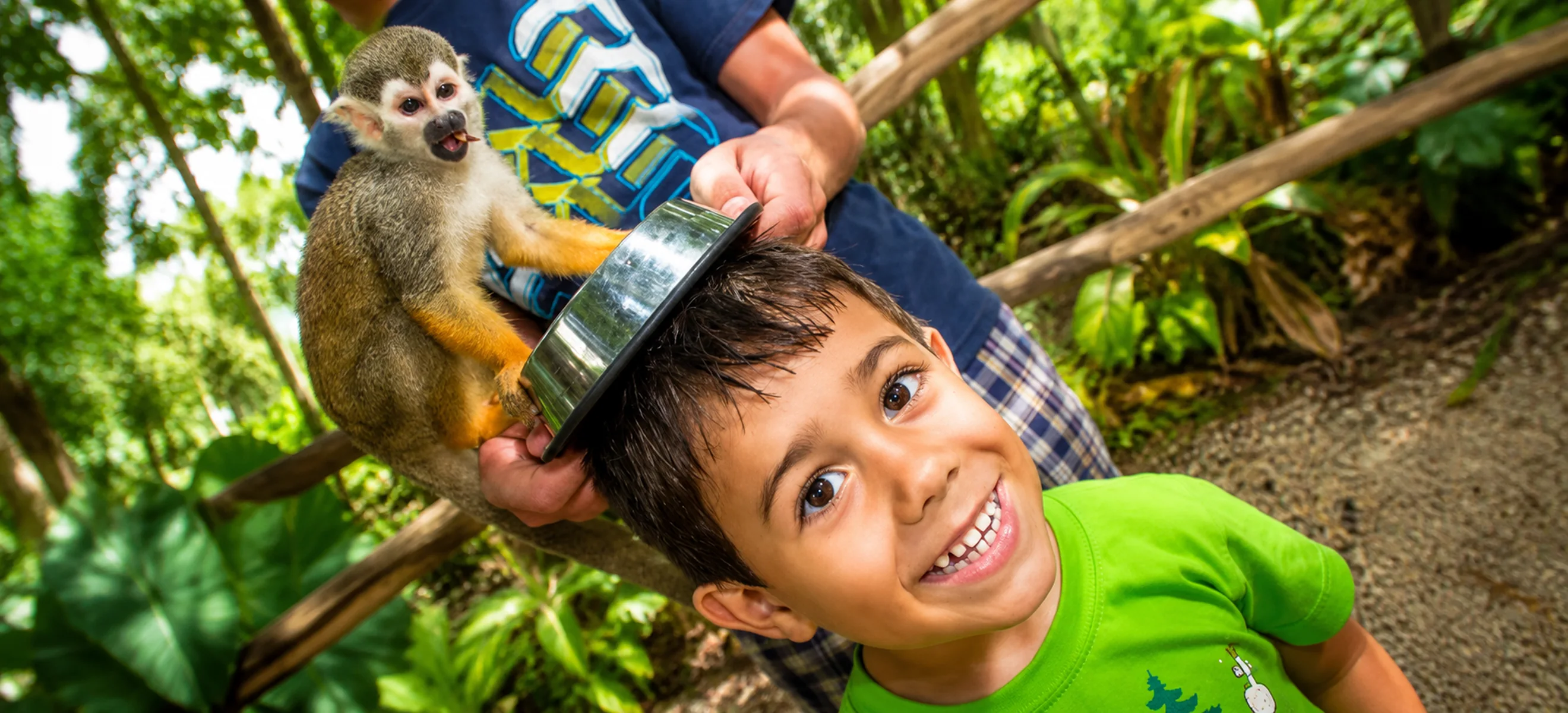 Monkeyland with Zipline