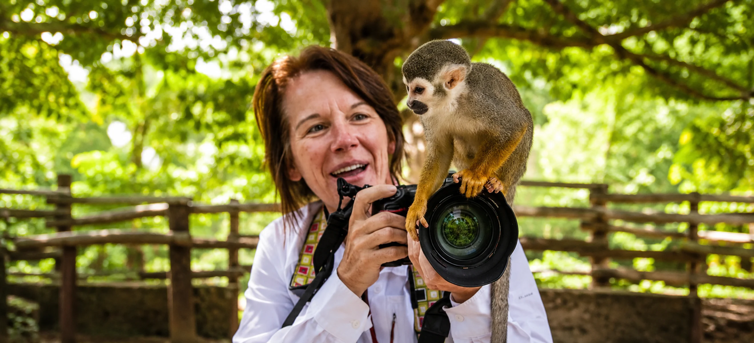 Monkeyland  with Jungle Boogie 